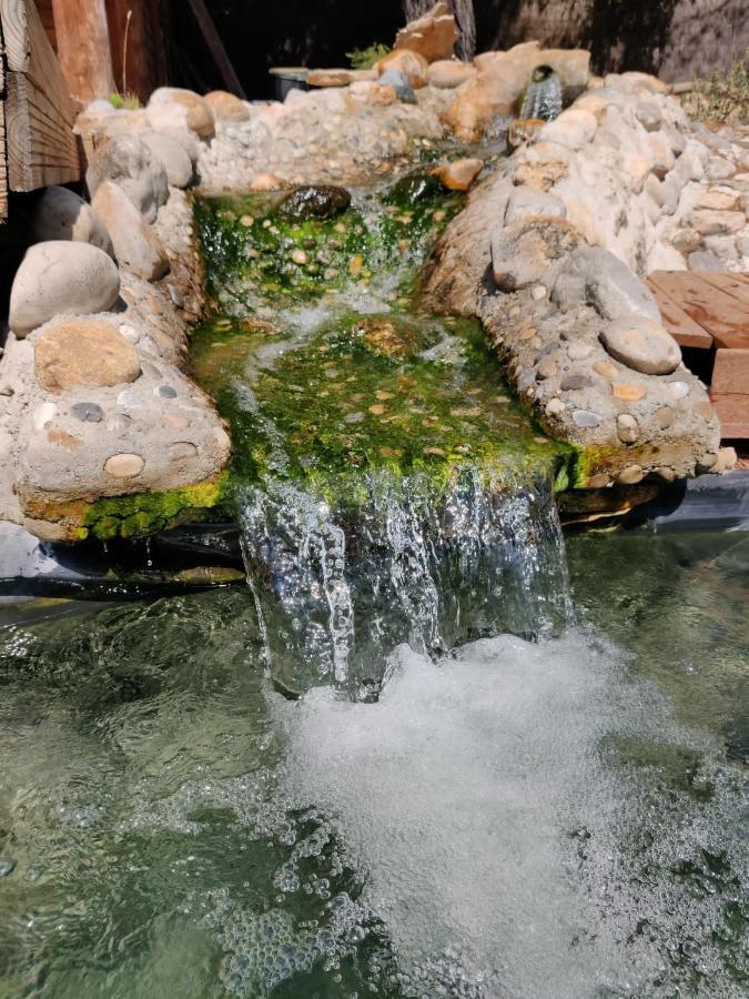 L'Etang Des Cigales Apartman Uchaux Kültér fotó