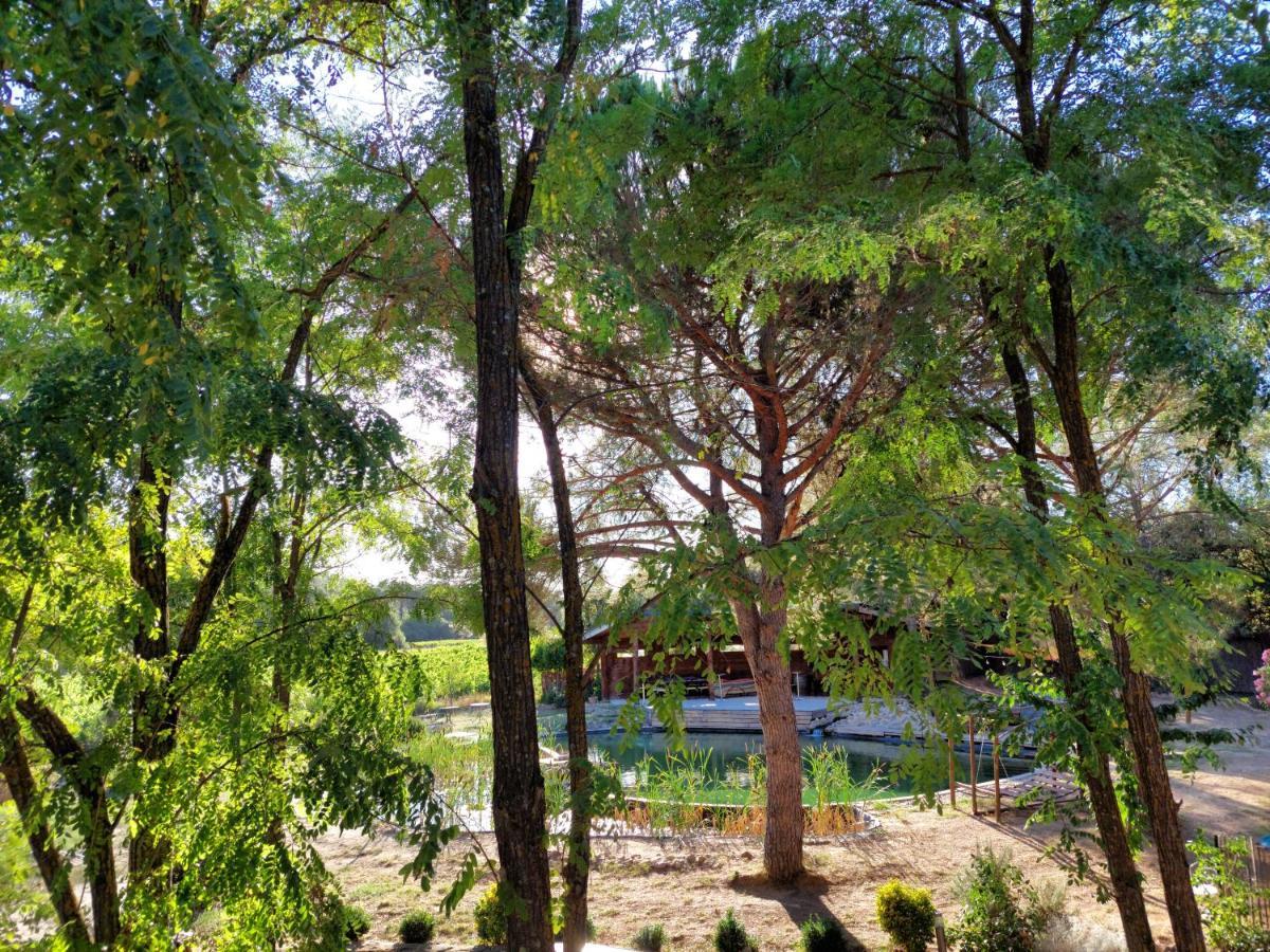 L'Etang Des Cigales Apartman Uchaux Kültér fotó
