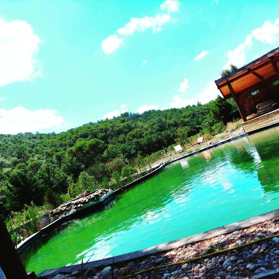L'Etang Des Cigales Apartman Uchaux Kültér fotó